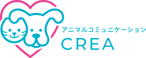 アニマルコミュニケーション 講座 アニマルコミュニケーター 資格 オンライン