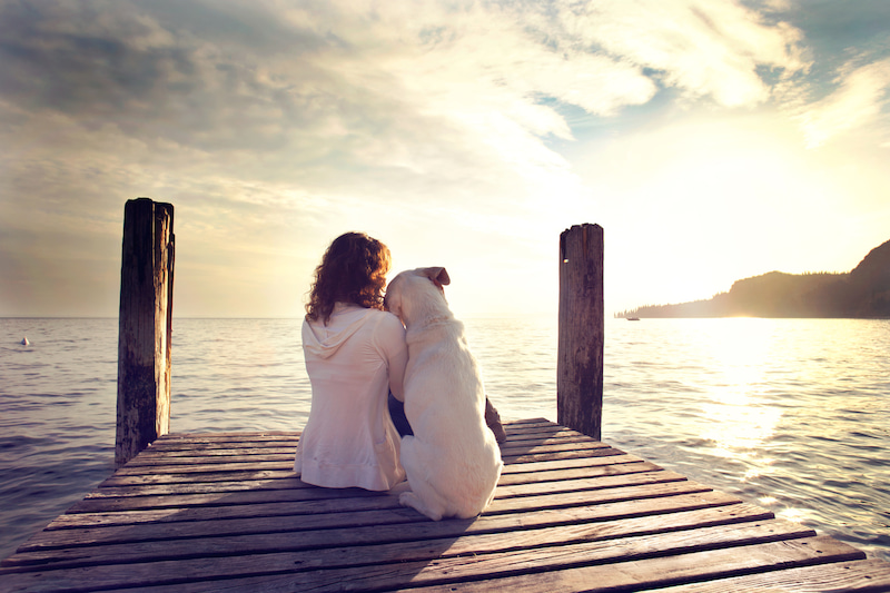 アニマルコミュニケーション 講座